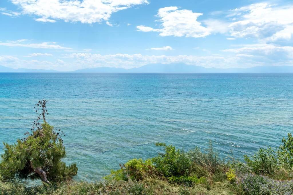Seafront 2 Bedrooms Apartment Nea Iraklia Exterior foto